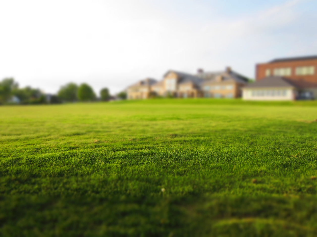 How Excessive Rainwater Can Lead to Nutrient Deficient Lawns