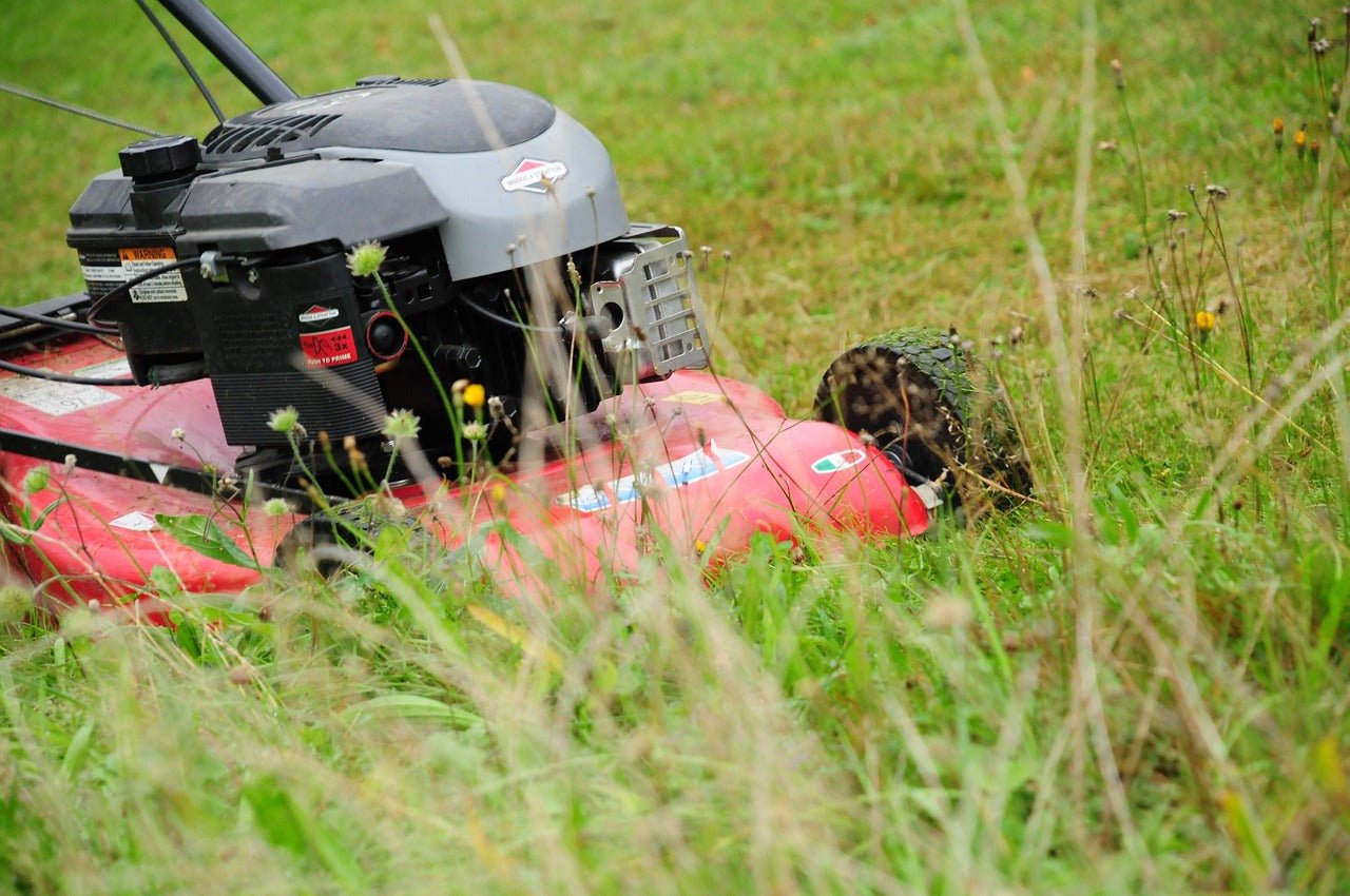 Why Mulching is a Bad Way to Mow Your Lawn