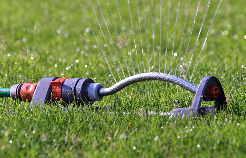 Best time to water the lawn