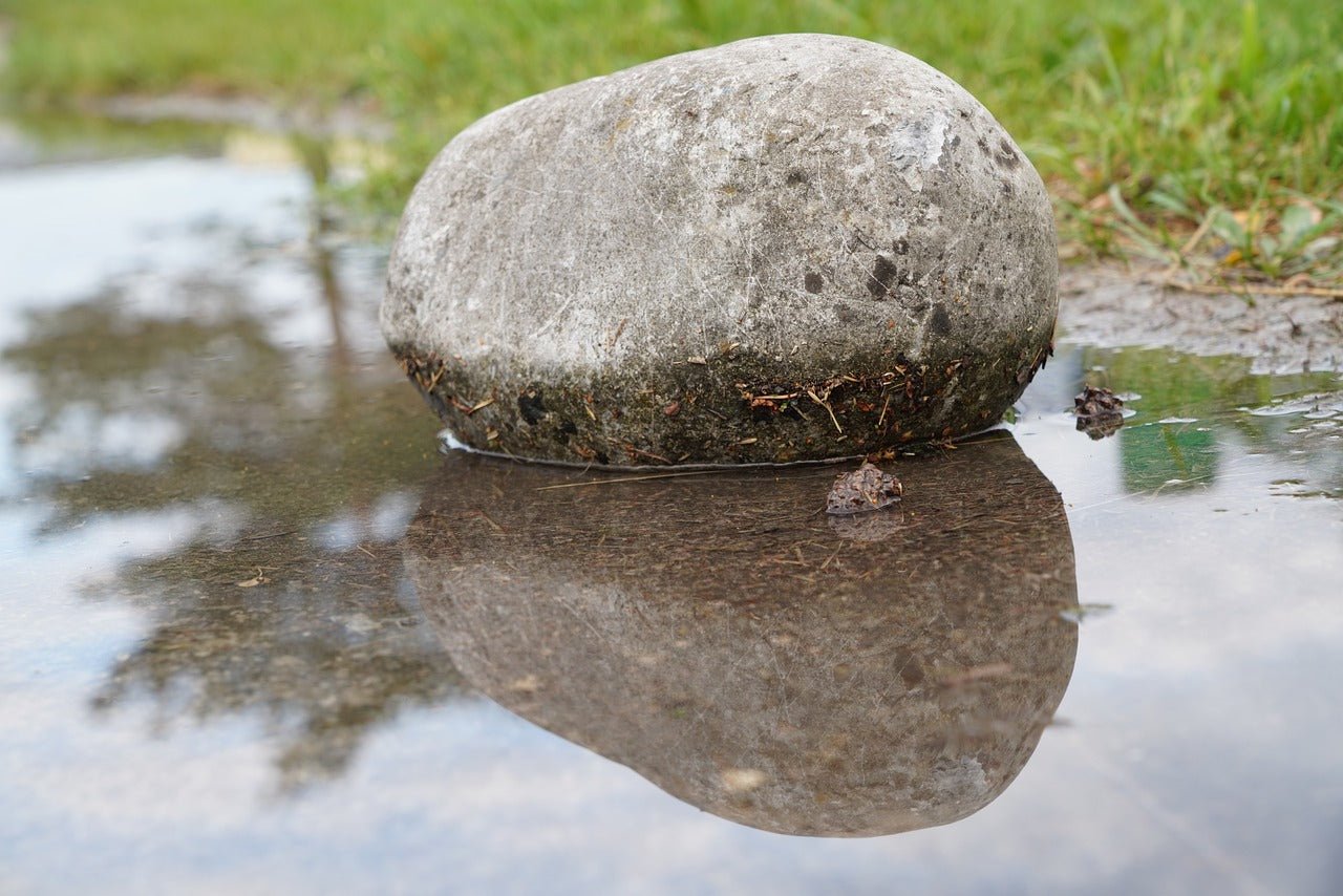 How do I improve my lawn’s drainage?