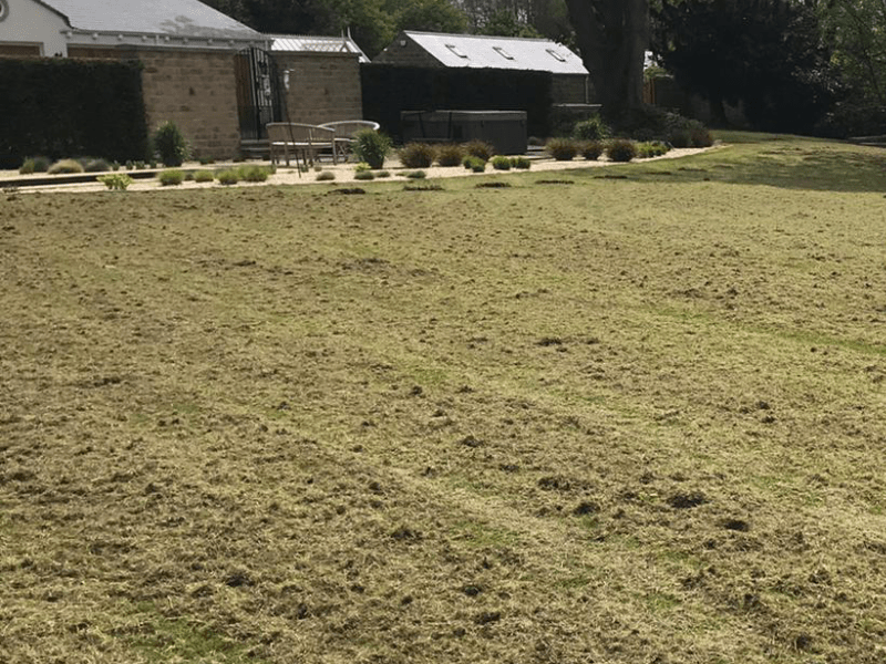 How to scarify a lawn