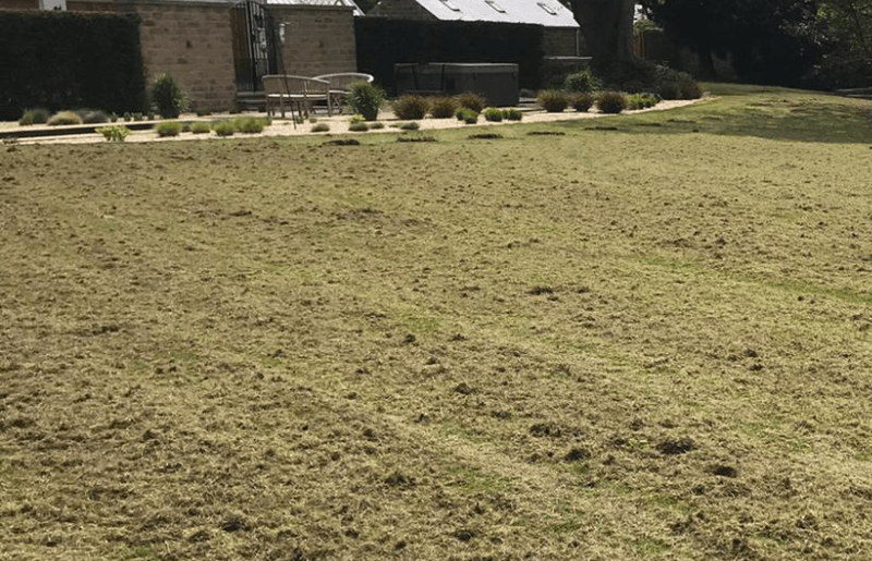 How to scarify a lawn