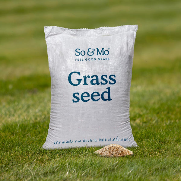Grass Seed