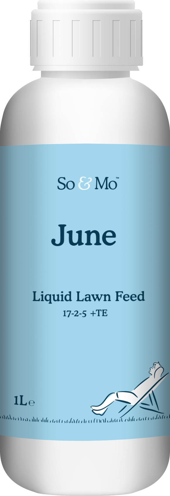 June Liquid Lawn Feed Bottle