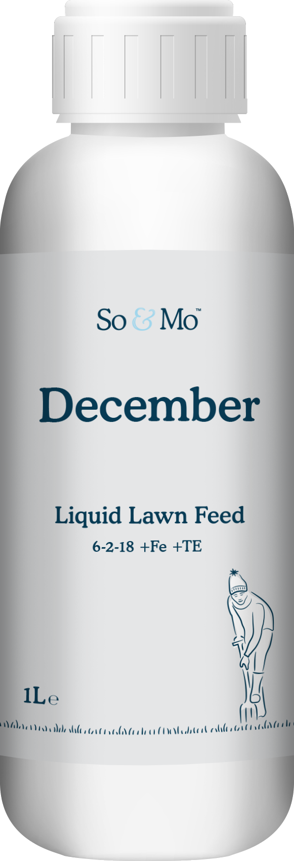 December Liquid Lawn Feed Bottle
